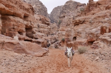 Jordania