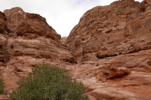 Jordania