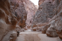 Jordania