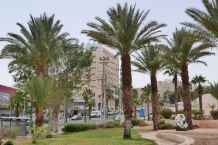 Izrael