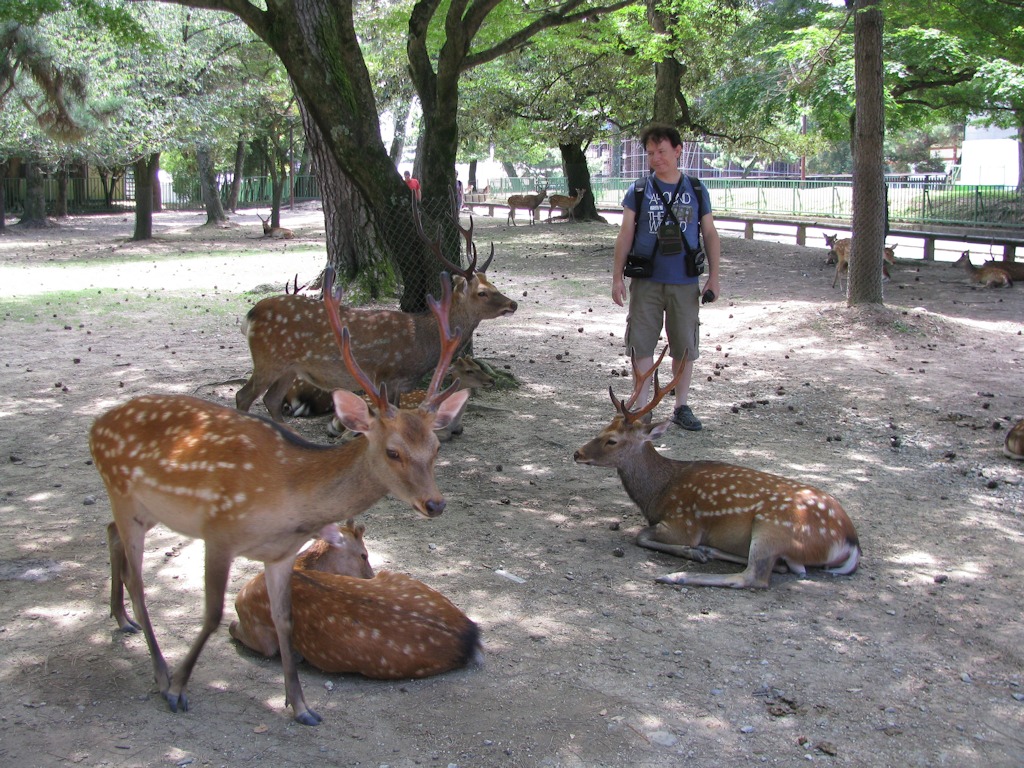 Nara