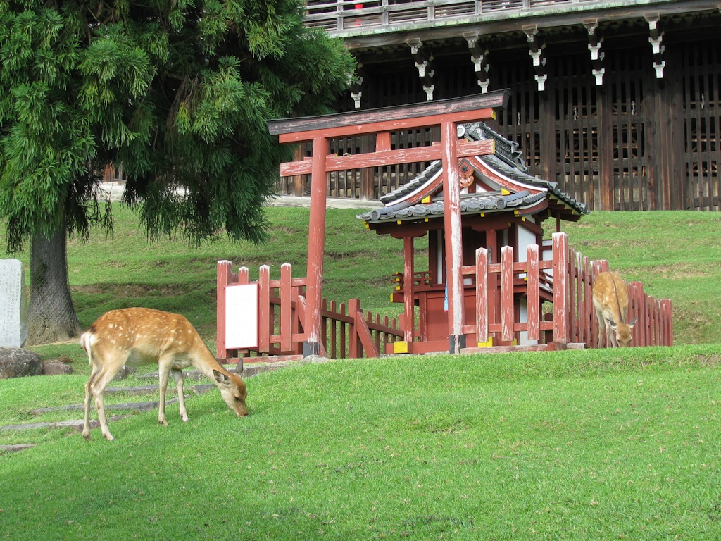Nara