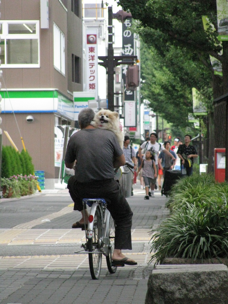 IMG_0771