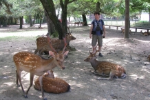 Nara