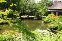 Nara
