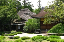 Nara