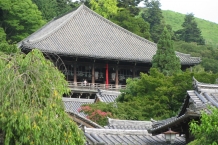 Nara