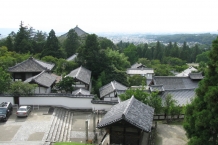 Nara