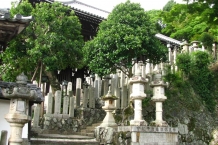 Nara