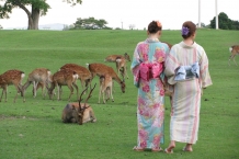 Nara