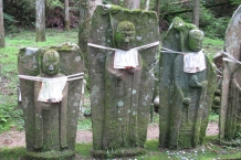 IMG_0803