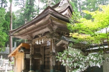 IMG_0807
