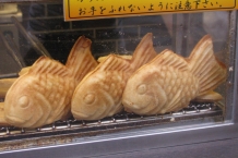 Kioto