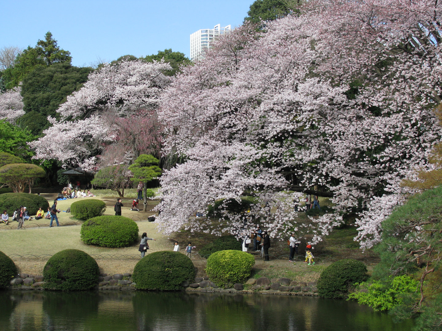 IMG_5570