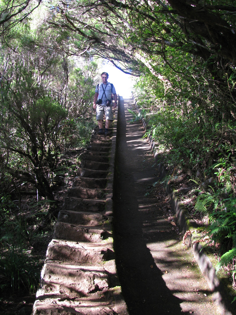Madera. Levada do Alecrim.