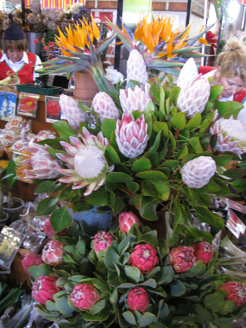 Madera. Funchal. Mercado dos Lavradores.