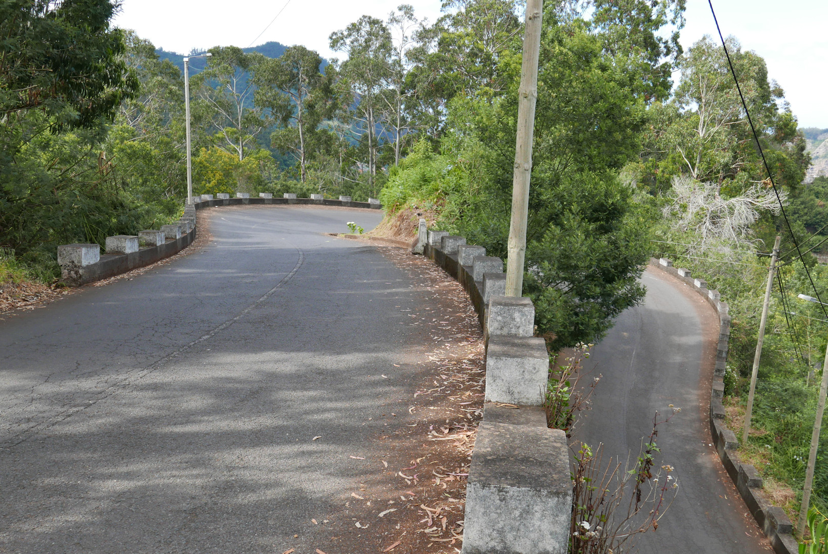 P1080271