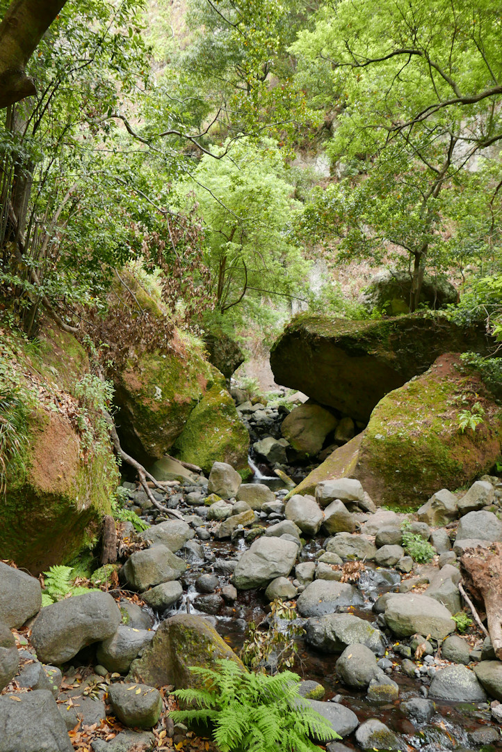 P1080384