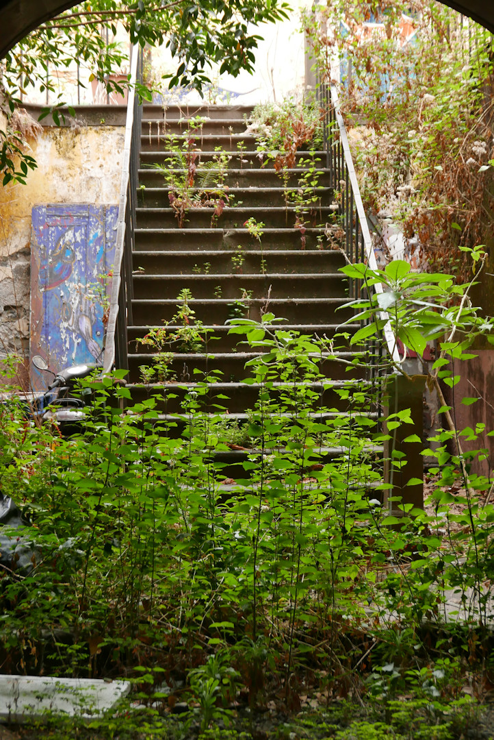 P1080919