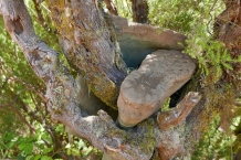 P1080197