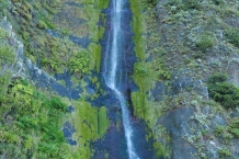 P1080222