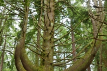 P1080334