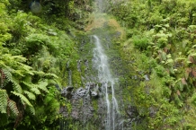 P1080344