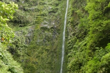 P1080351