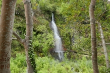 P1080381