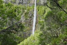 P1080856