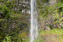 P1080868