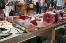 Madera. Funchal. Mercado dos Lavradores.