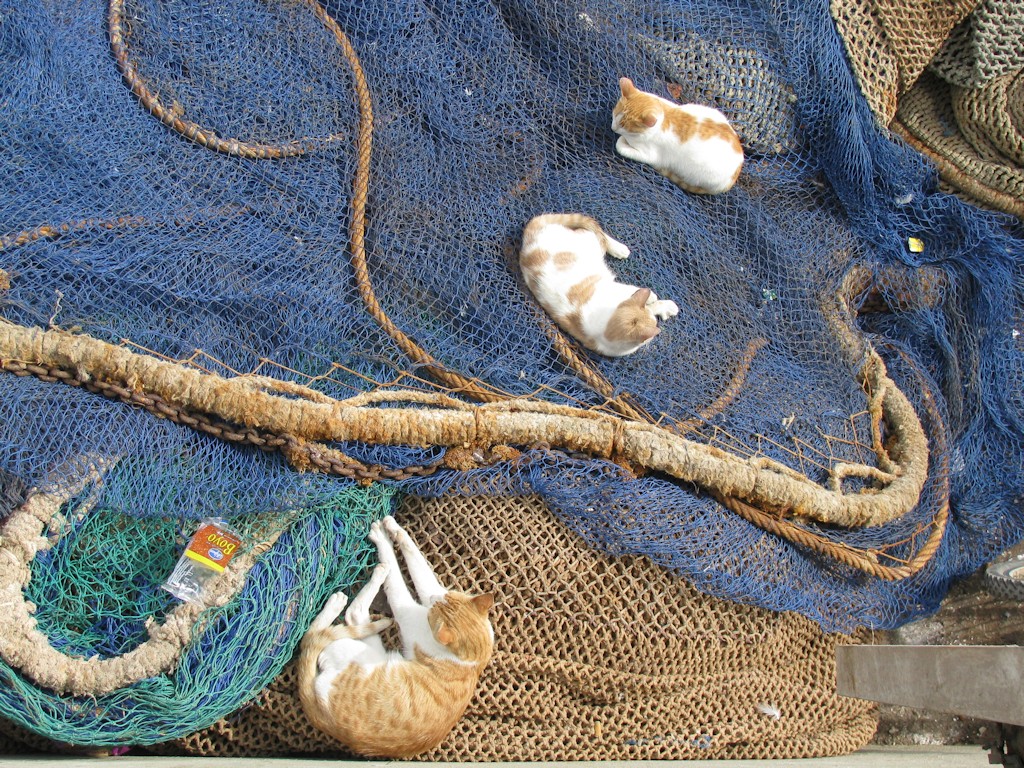 Essaouira