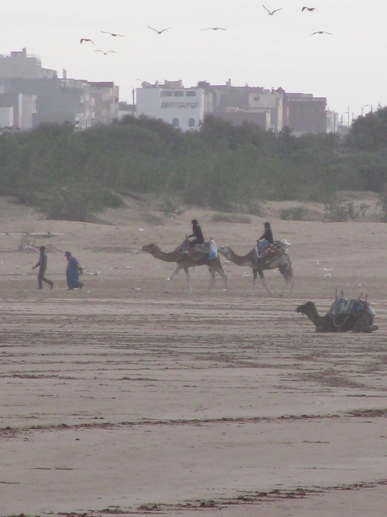 Essaouira
