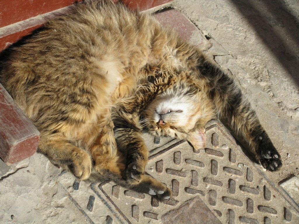 Essaouira
