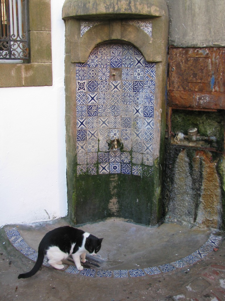 Essaouira