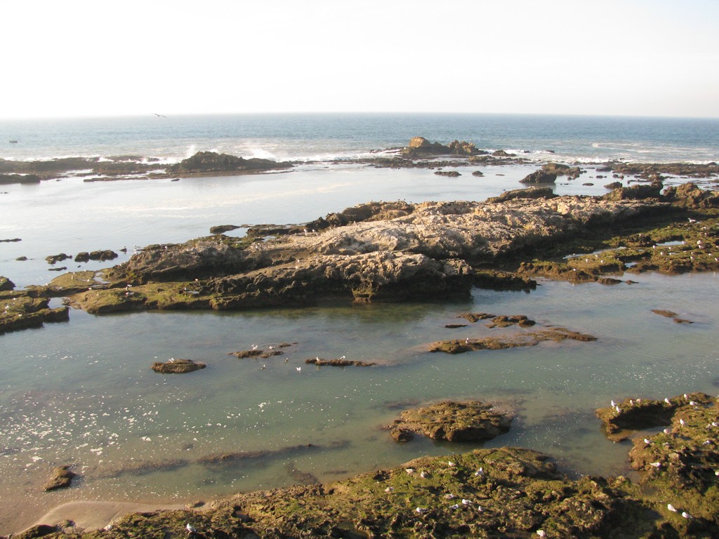 Essaouira