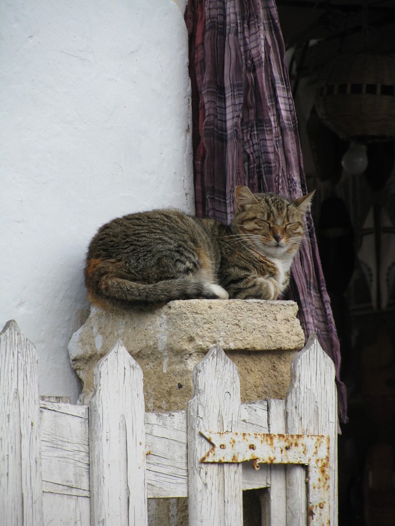 Essaouira