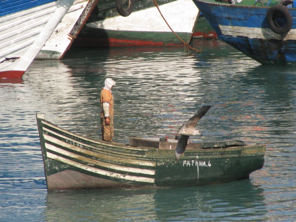 Safi
