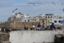 Essaouira