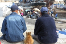 Essaouira