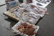 Essaouira