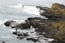 Essaouira