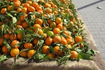 Essaouira