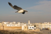 Essaouira