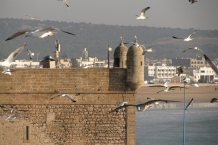 Essaouira