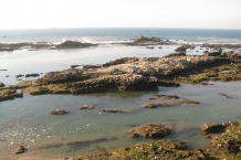 Essaouira
