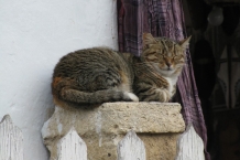 Essaouira