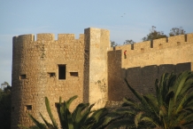 Safi