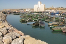 Safi